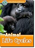 Animal life cycles