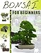 BONSAI - Bonsai is in fact, an ancient practice involving the shaping and pruning of trees and shrubs into a structured form