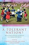 A tolerant nation? : revisiting ethnic diversity in a devolved Wales