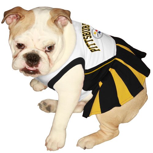 Pittsburgh Steelers Black-Gold Pet Cheerleader Dress (X-Small)