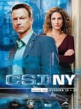 CSI: NY - Season 2.2 (3 DVDs) - Gary Sinise