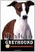 Italian Greyhound: A Complete and Reliable Handbook (Complete Handbook)