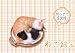 ねこ鍋カレンダー2008(Amazon.co.jp独占販売)