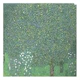 Rosiers sous les arbres Giclee Poster Print by Gustav Klimt, 30x30