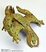 Monster Hunter Capcom Figure Builder Vol. 3 Trading Figure: Gigginox Subspecies 10 cm_s-1