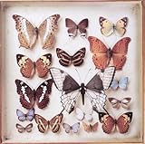 Rarities by Emiliana Torrini (2010-09-28)【並行輸入品】