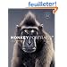 Monkey Portraits