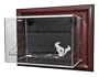 Houston Texans Football Case-Up Display