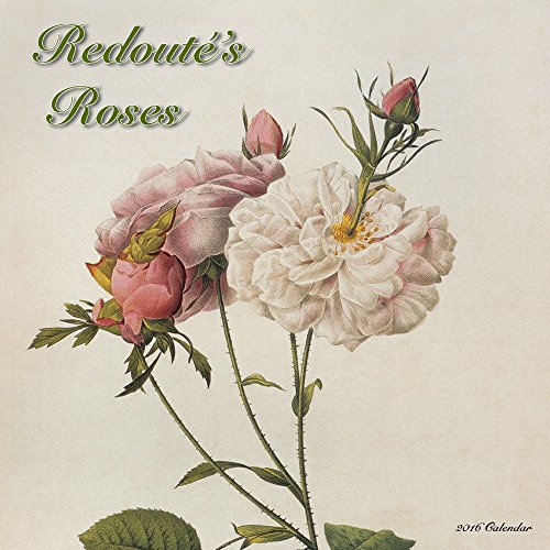 Redoute Roses (CL53249)