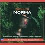 Norma / Act 2 - Non parti?