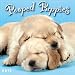 Pooped Puppies 2012 Mini (calendar)