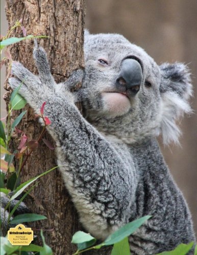 WriteDrawDesign Notebook, Wide Ruled, 8.5 x 11 Inches, Koala Bear In A Tree (Critter Collection)