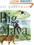 Big Java