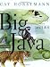 Big Java