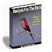 Recipes For The Birds: 50 Easy To Make Bird Treats (Kindle Edition)