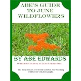 Abe's Guide to June Wildflowers (A Year of Indiana Wildflowers)