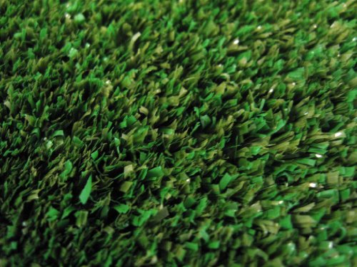 9' x 12' Indoor/Outdoor Artificial Grass Area Rug Carpet Color:Backyard Picture