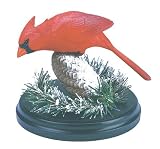 Cardinal