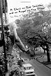 A Devil on One Shoulder and an Angel on the Other: The Story of Shannon Hoon and Blind Melon A Devil on One Shoulder and an Angel on the Other: The Story of Shannon Hoon and Blind Melon