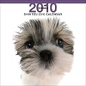 Shih Tzu Dog by THE DOG Artlist 2010 Wall Calendar 12 x 12