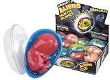 from Ozbozz Grossman - Alien Egg Model SV4556