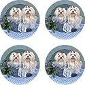 Set of Four Maltese Ambiance Coasters - Style vpa19