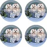 Set of Four Maltese Ambiance Coasters - Style vpa19