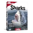 Sharks