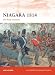 Niagara 1814: The final invasion (Campaign) width=