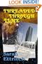Threaded Through Time, Book One