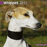 Whippet Wandkalender 2012 [Kalender]