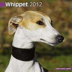 Whippet Wandkalender 2012 [Kalender]