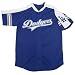 Los Angeles Dodgers Youth Button Down Raglan Sleeve Baseball Jersey by Stitches Athletic Gear