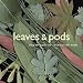 Books : Leaves & Pods
