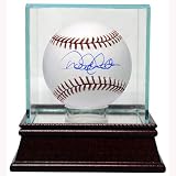 Steiner Sports Single Baseball Glass Display Case