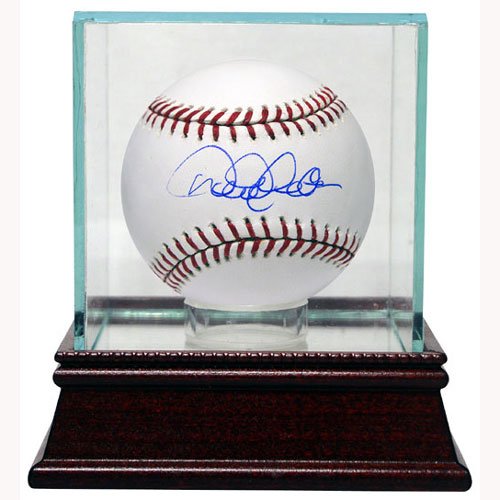Steiner Sports Single Baseball Glass Display Case