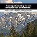 Book Financing and Accounting For Your Research Services Online Business