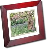 HP 8 Digital Picture Frame - Digital photo frame - flash 512 MB - 8 - 800 x 600 - mahogany