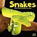 Snakes 2009 Wall Calendar