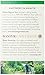 Choice Organic Teas, Regularity Wellness Tea, 16 Count