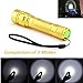 SKYWOLFEYE Zoomable 300LM Cree T6 LED Flashlight Torch Lamp 3 Modes Powerful Light 18650 (a Gold Flashlight + a 18650 Battery + a Charger)