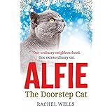 alfie the doorstep cat