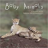 Baby Animals 2010 Wall Calendar