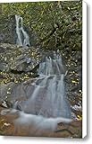 Laurel Falls Canvas Print / Canvas Art - Artist Michael Peychich