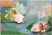 Leanin' Tree Art of Valerie Tabor Smith Blank Greeting Card Assortment: Fantasy children