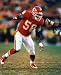 DERRICK THOMAS KANSAS CITY CHIEFS 8X10 SPORTS ACTION PHOTO (G)