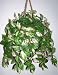 Silk Tradescantia Hanging Basket Image