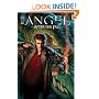 Angel: After The Fall Volume 1