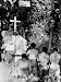 A Catholic Priest Celebrates Mass at the Open Air Chapel of Lourdes Associated Press ...