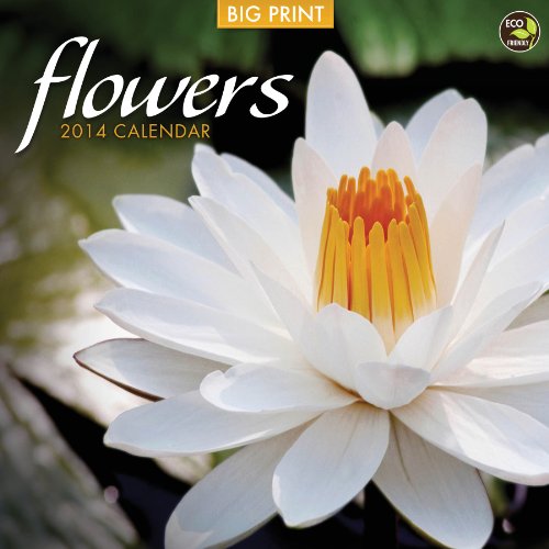 2014 Flowers (BIG PRINT) Wall Calendar